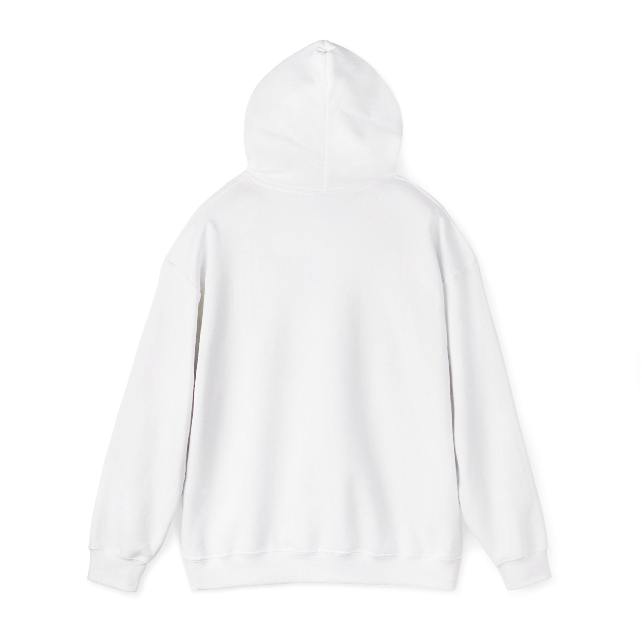 One World Earth Graphic Hoodie — Unity Globe Sweatshirt