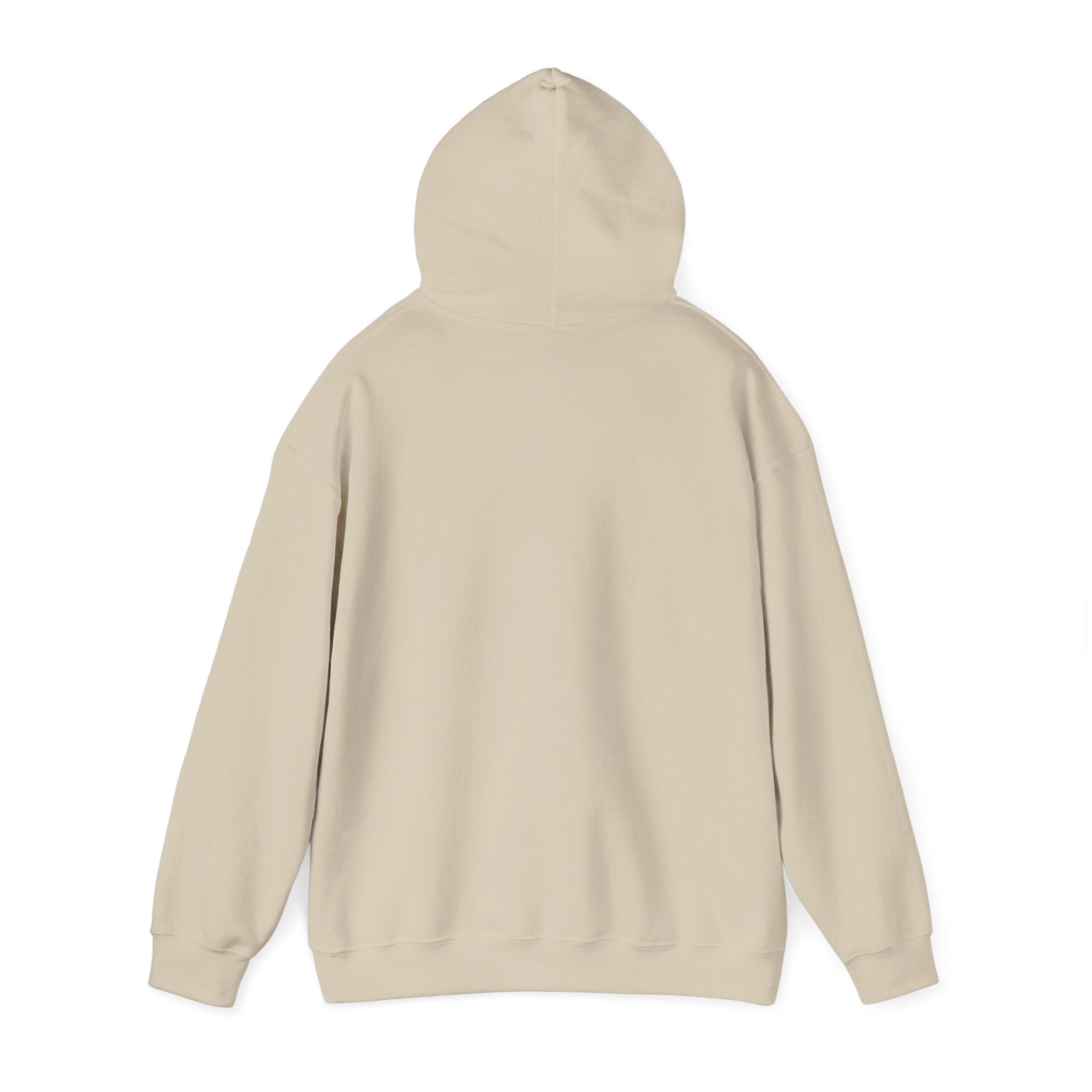 One World Earth Graphic Hoodie — Unity Globe Sweatshirt